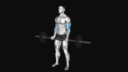 Barbell Curl