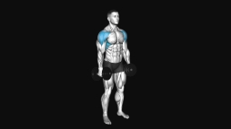 Dumbbell Lateral Raise