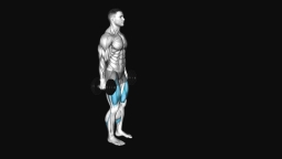 Dumbbell Lunge
