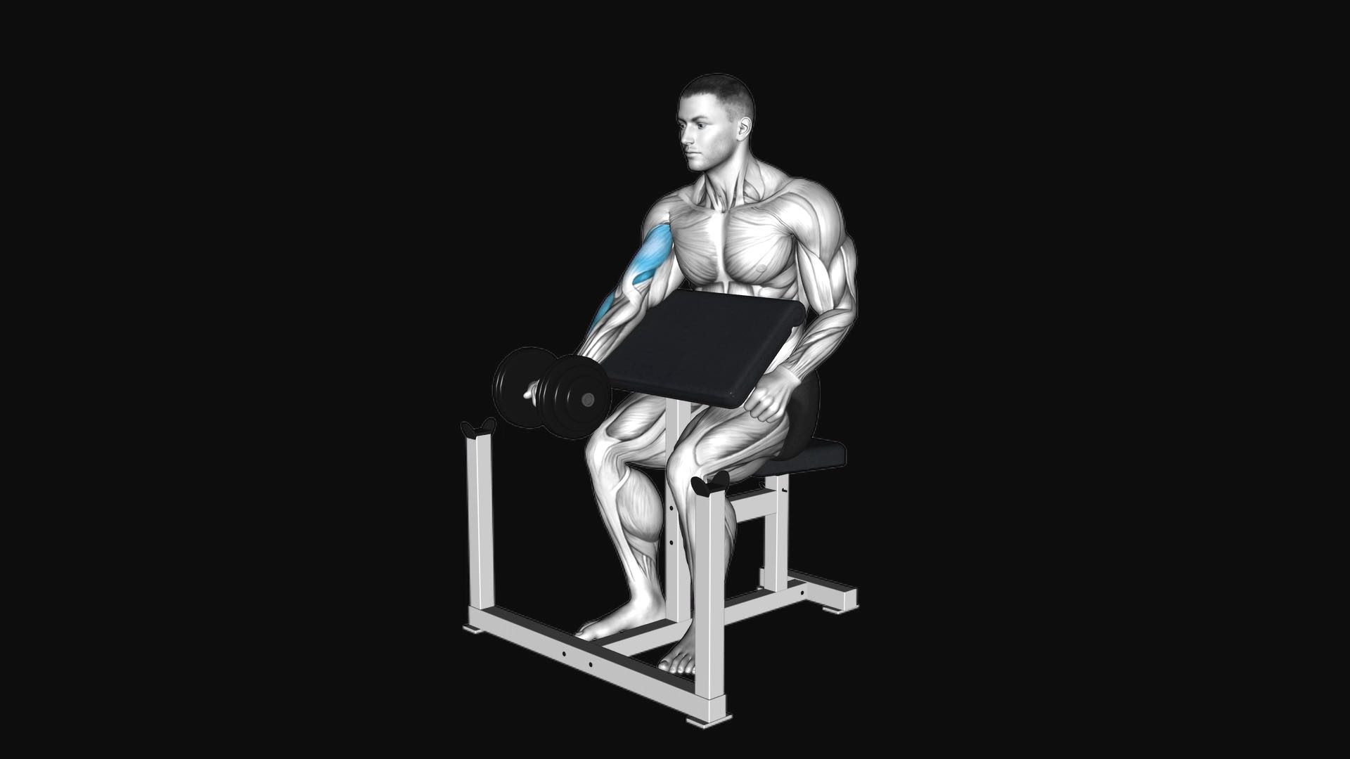 Dumbbell Preacher Curl