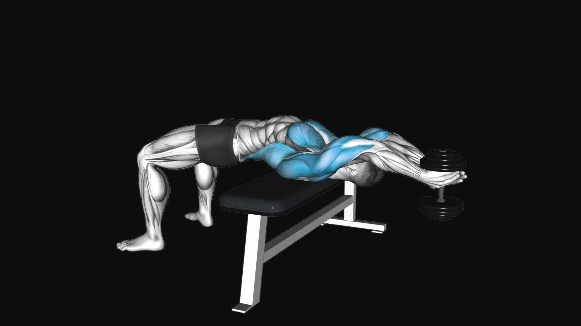 Dumbbell Pullover