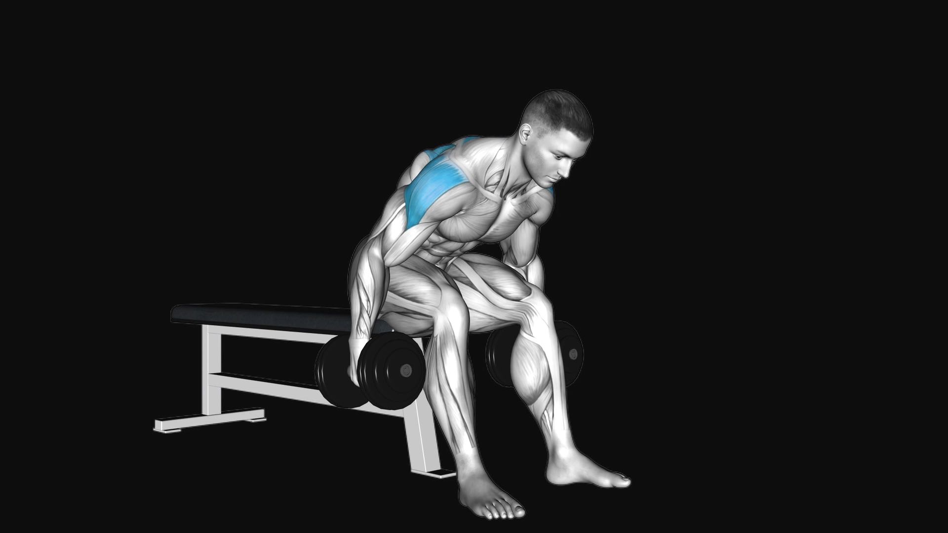 Dumbbell Rear Fly