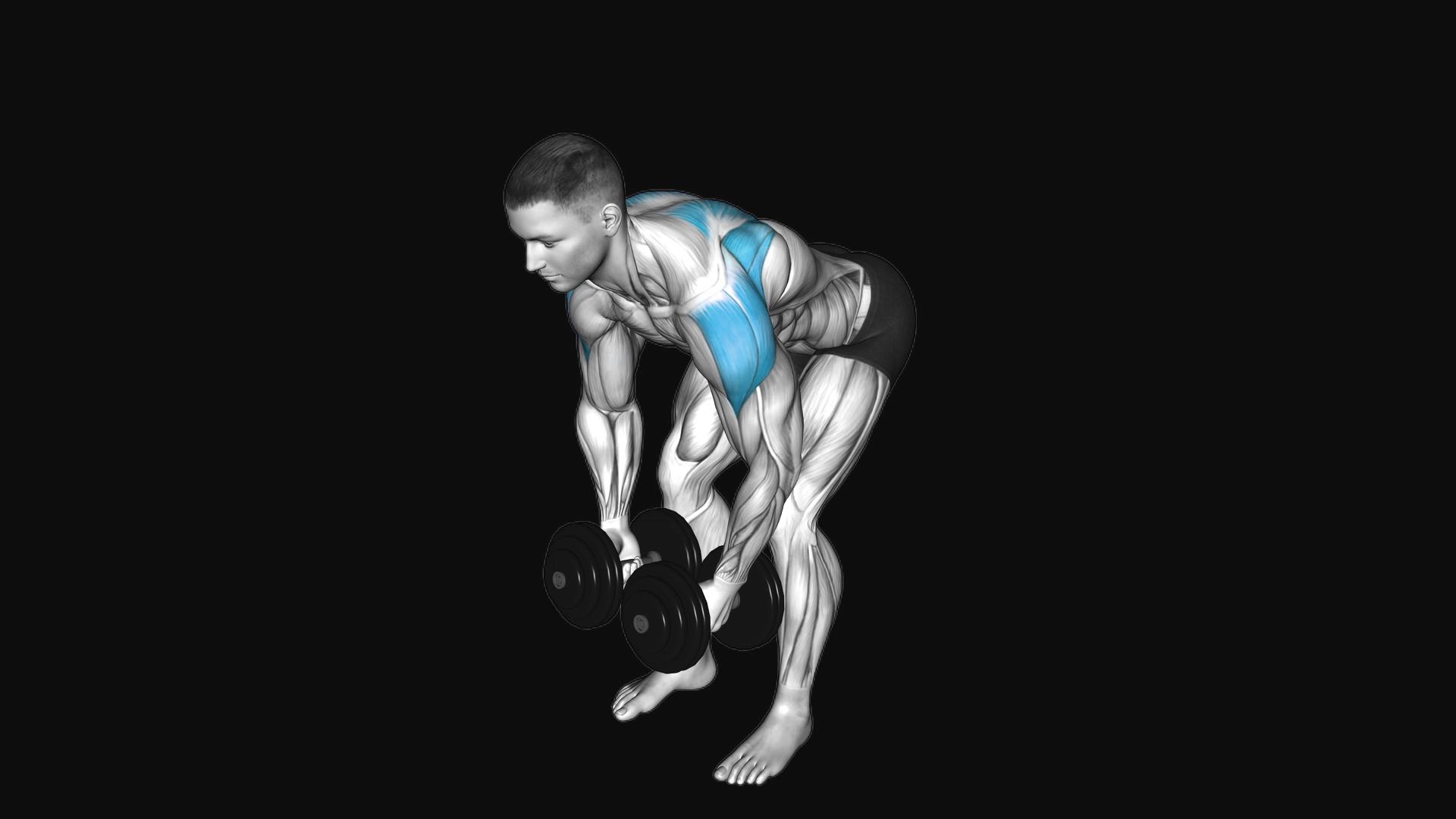 Dumbbell Rear Lateral Raise