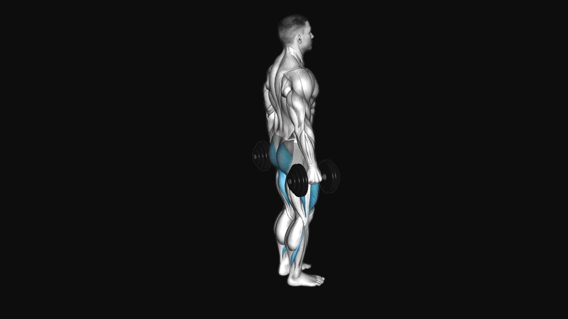 Dumbbell Rear Lunge