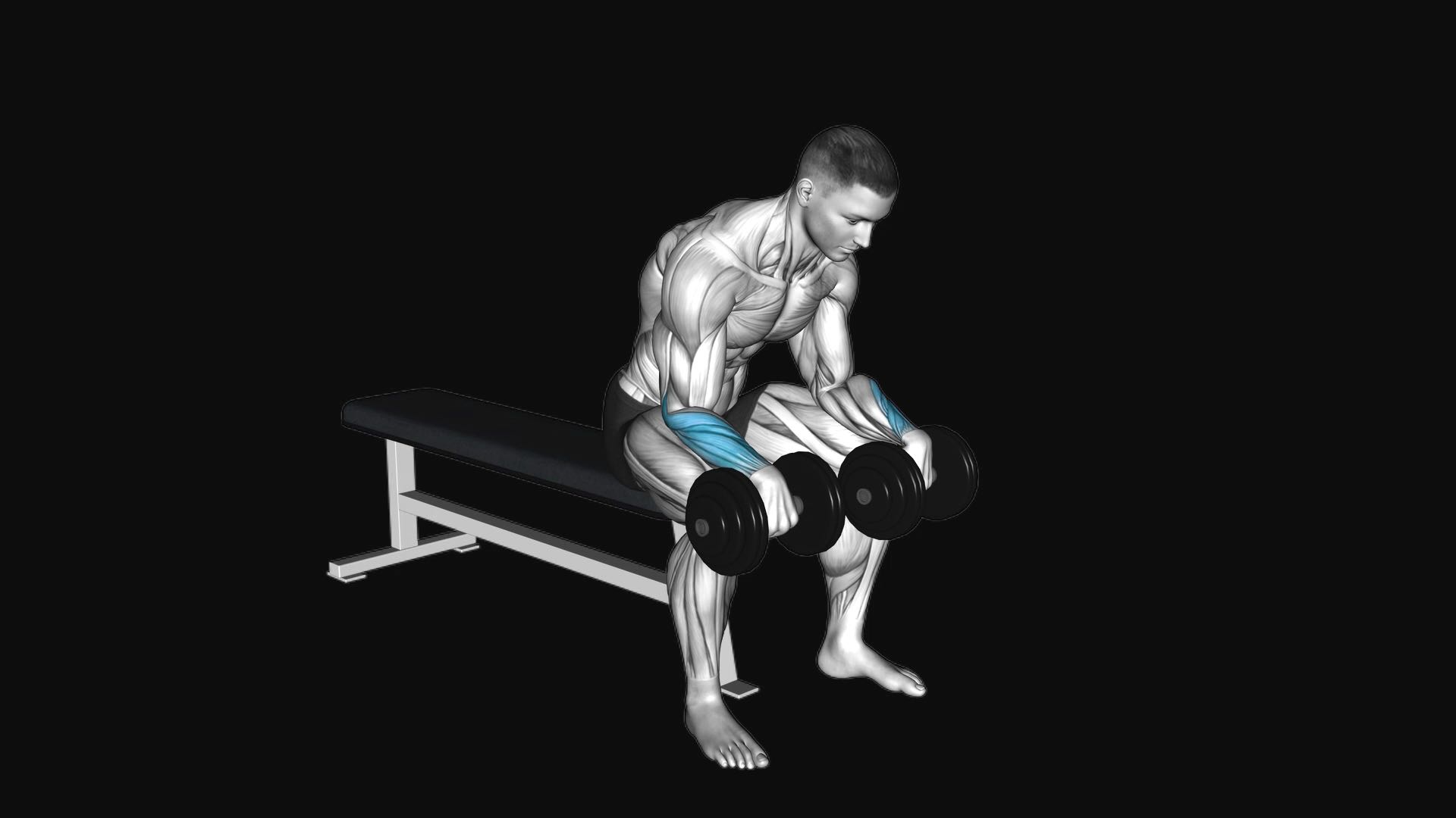 Dumbbell Reverse Wrist Curl