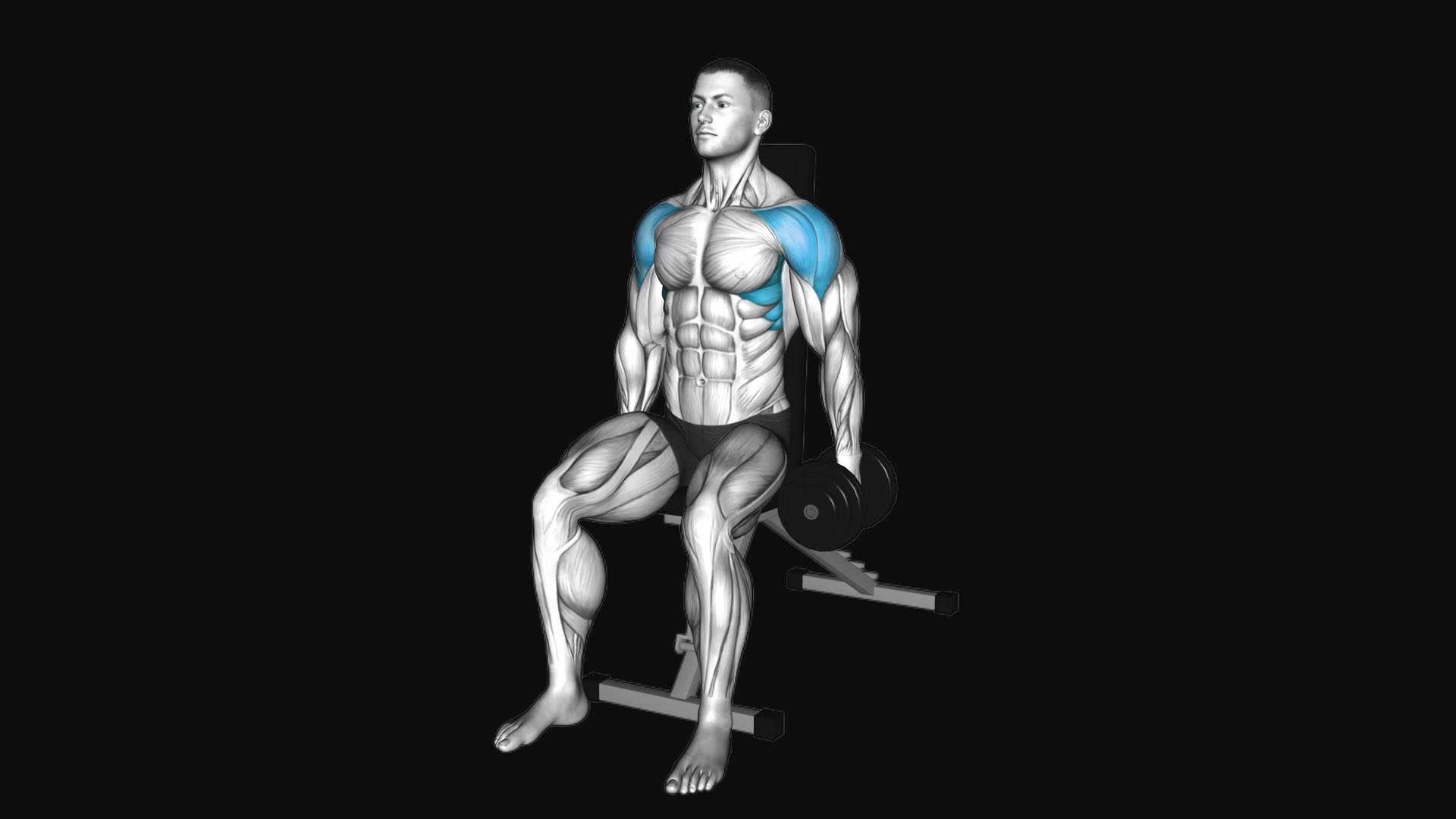 Dumbbell Seated Lateral Raise