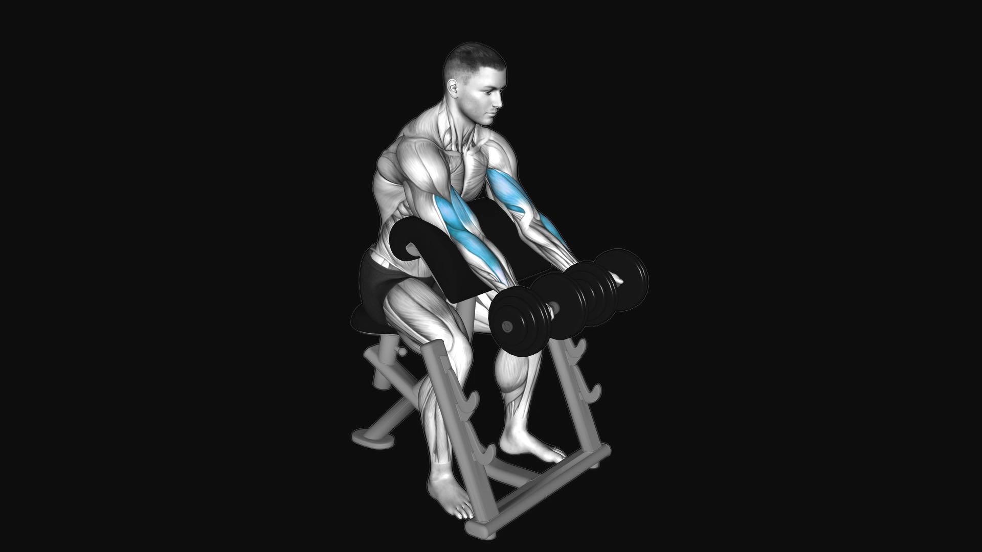 Dumbbell Seated Preacher Curl
