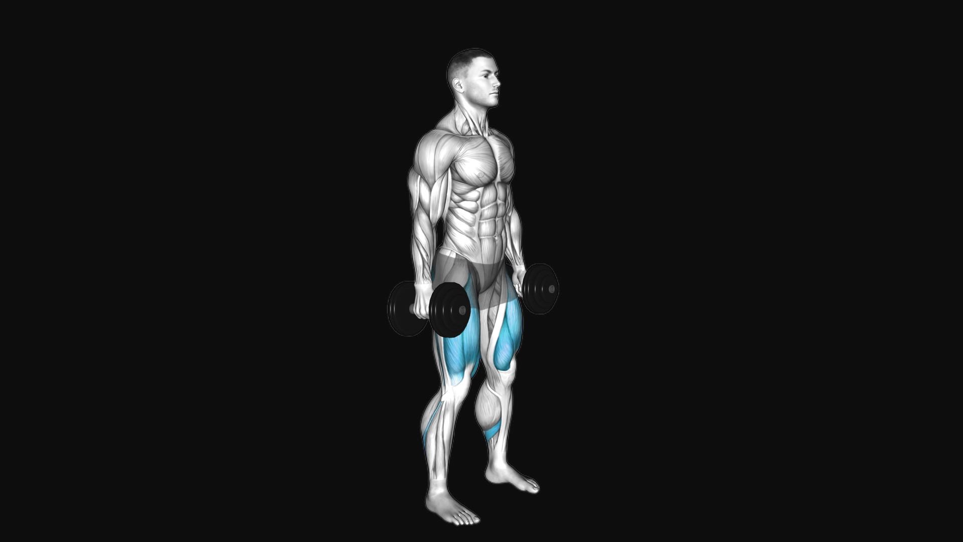 Dumbbell Squat