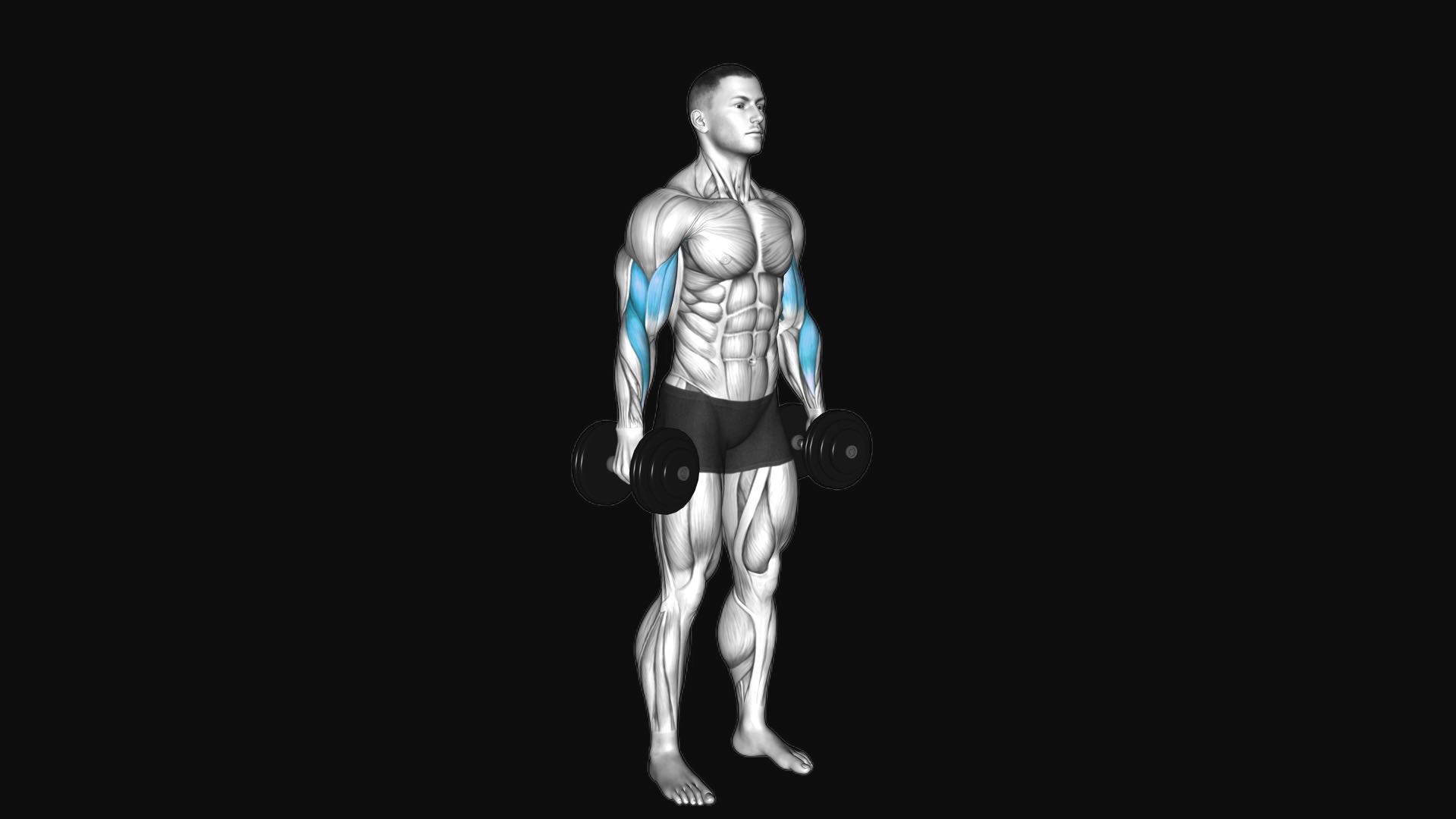 Dumbbell Standing Biceps Curl
