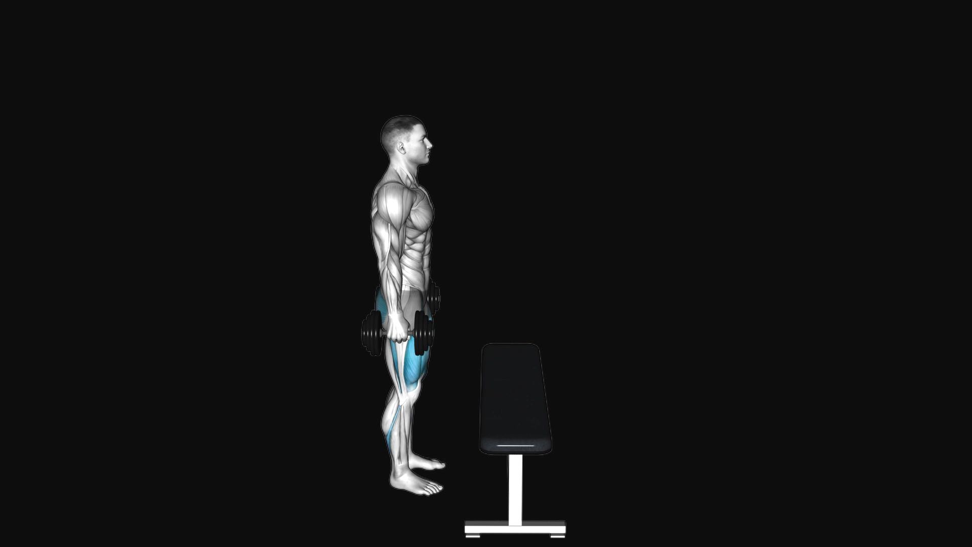 Dumbbell Step-Up