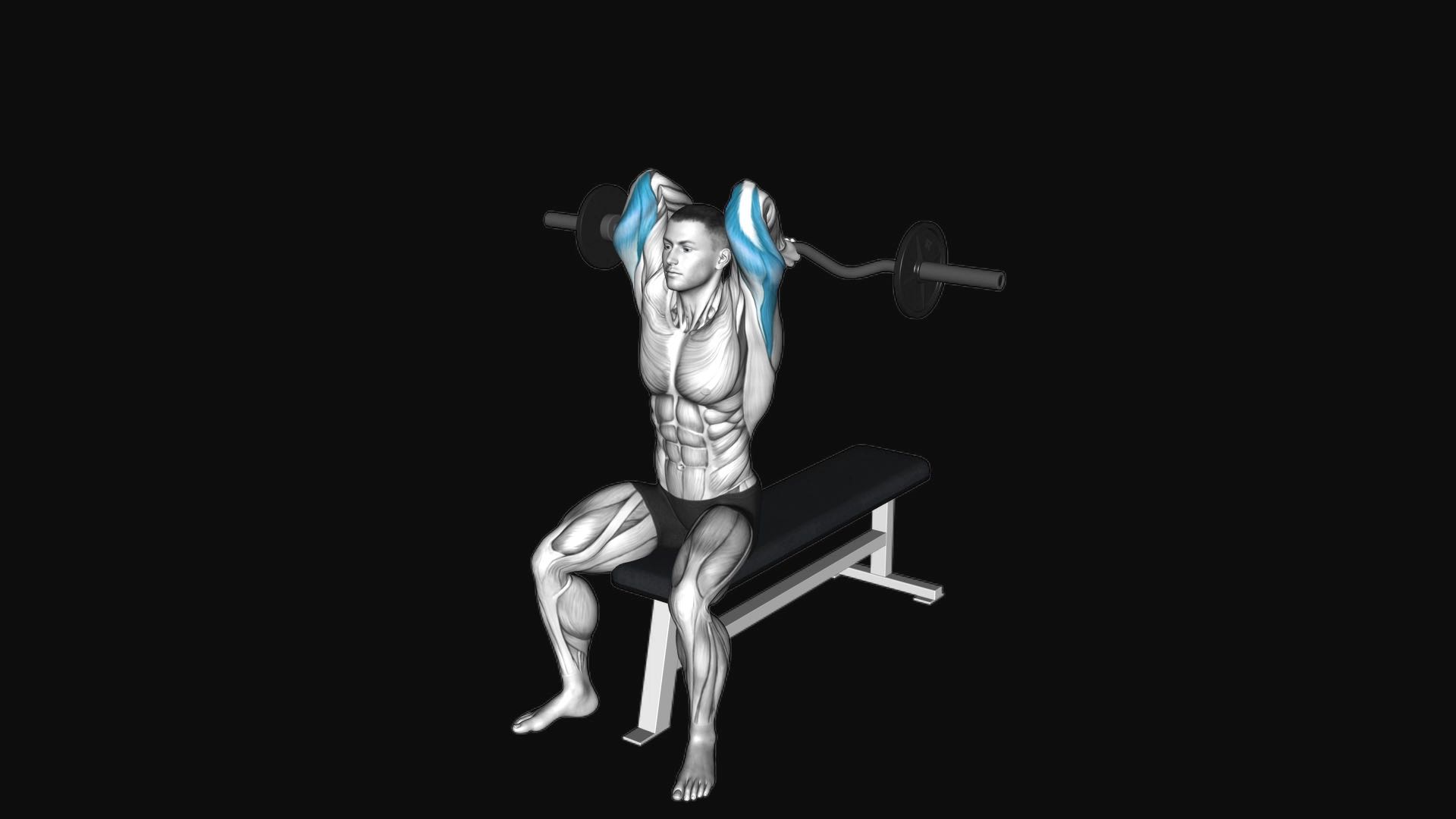 EZ-Barbell Seated Triceps Extension