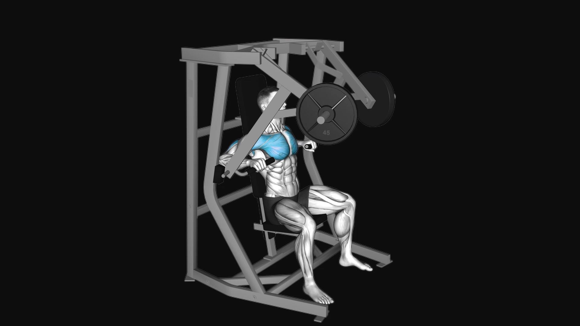 Lever Chest Press