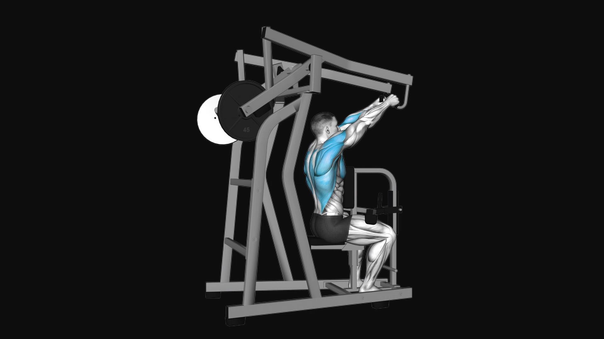 Lever High Row