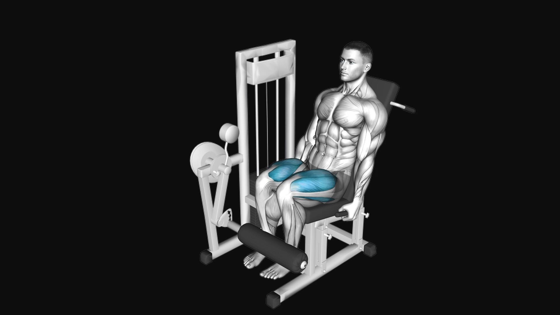 Lever Leg Extension