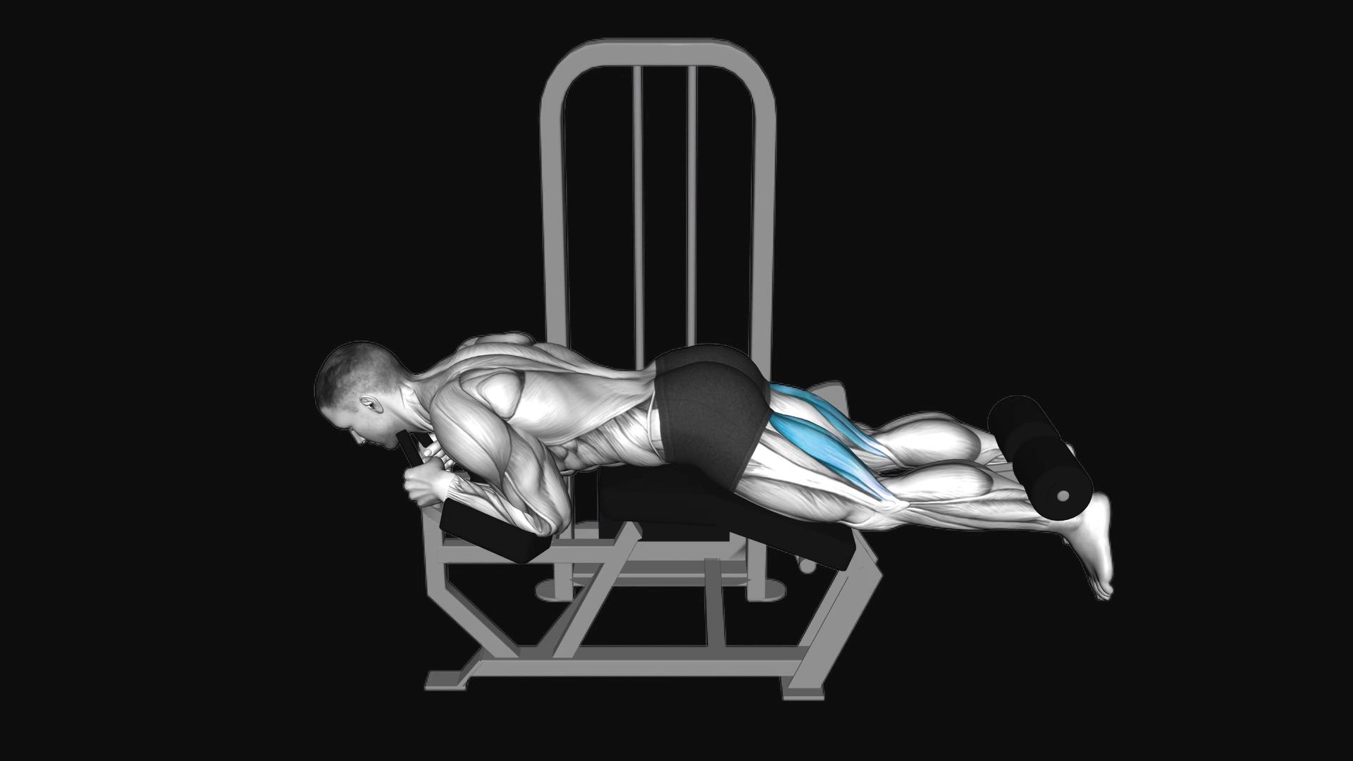 Lever Lying Leg Curl