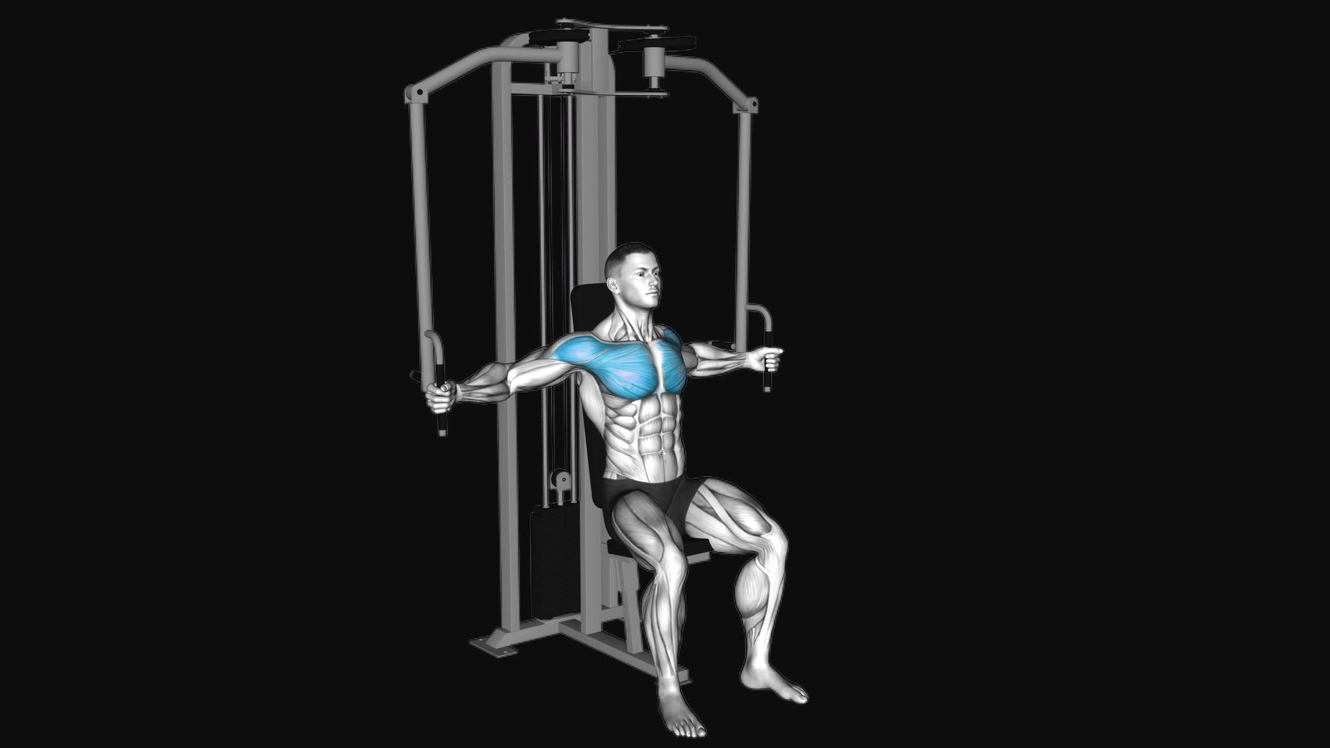 Chest Fly Machine