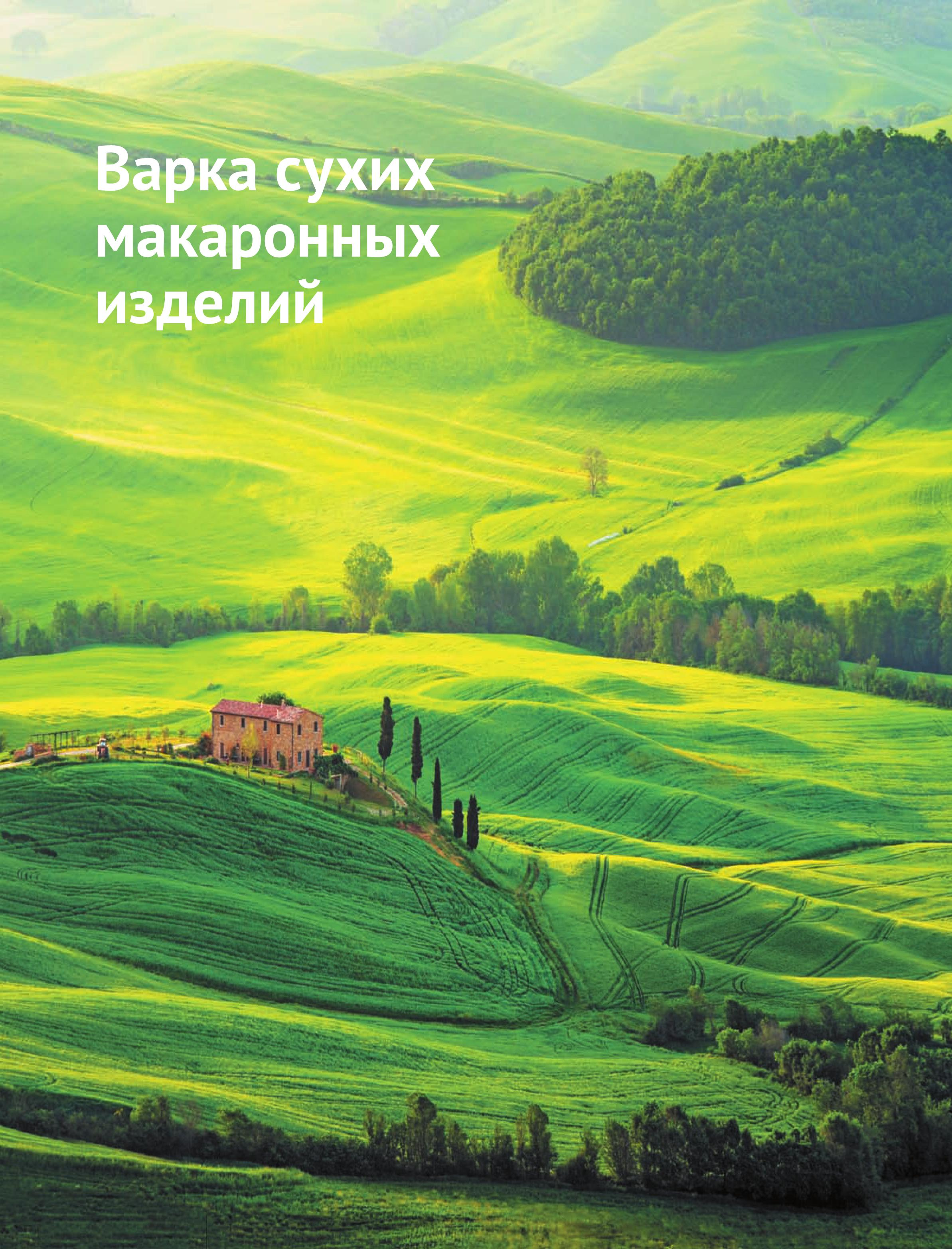 ДЖАНГУИДО БРЕДДО НАСТОЯЩАЯ ИТАЛЬЯНСКАЯ ПАСТА. САМЫЕ ВКУСНЫЕ РЕЦЕПТЫ. БЕСТСЕЛЛЕР.