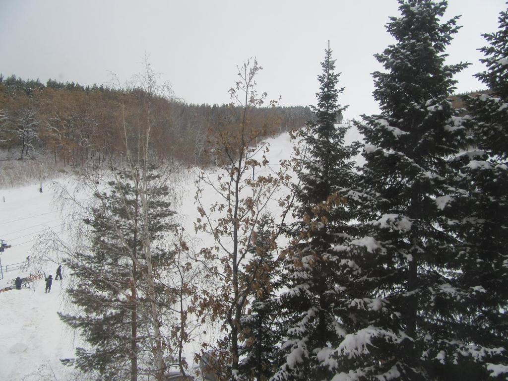 photo3