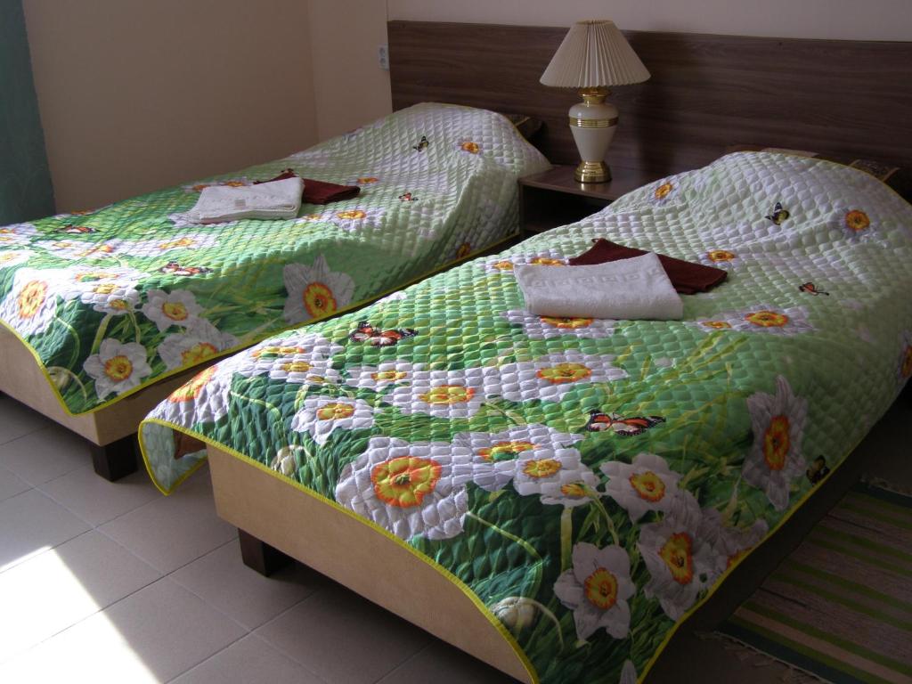 photo1