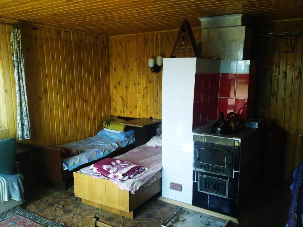 photo2