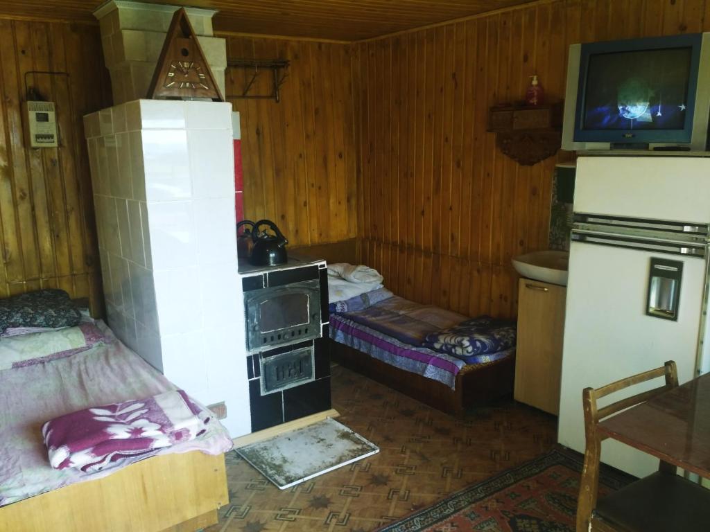 photo6