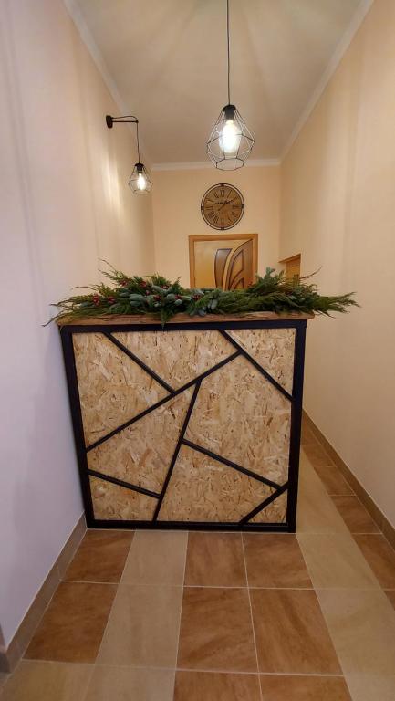 photo3