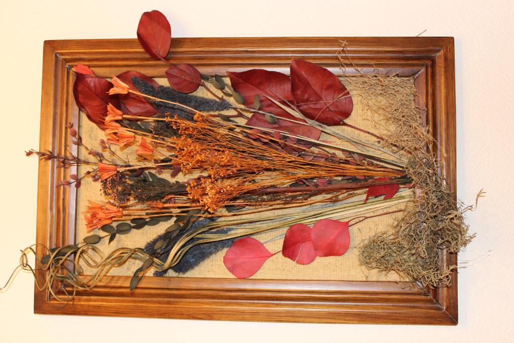 photo6