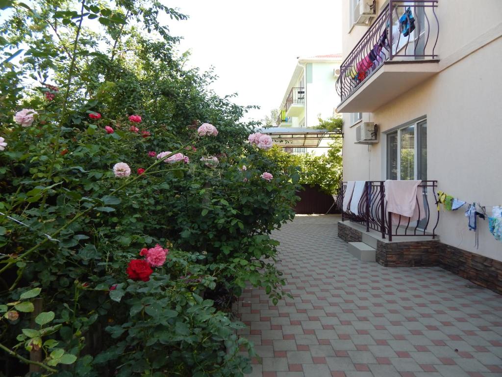 photo6