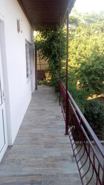 photo6