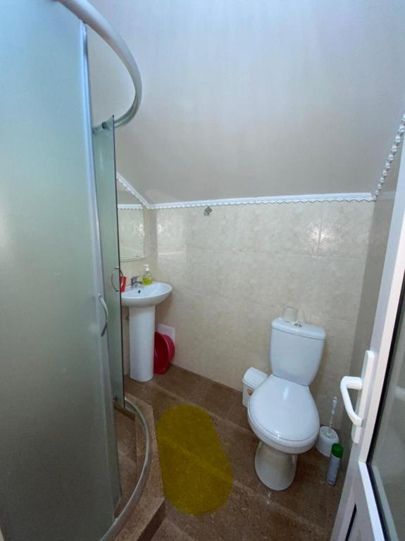 photo6