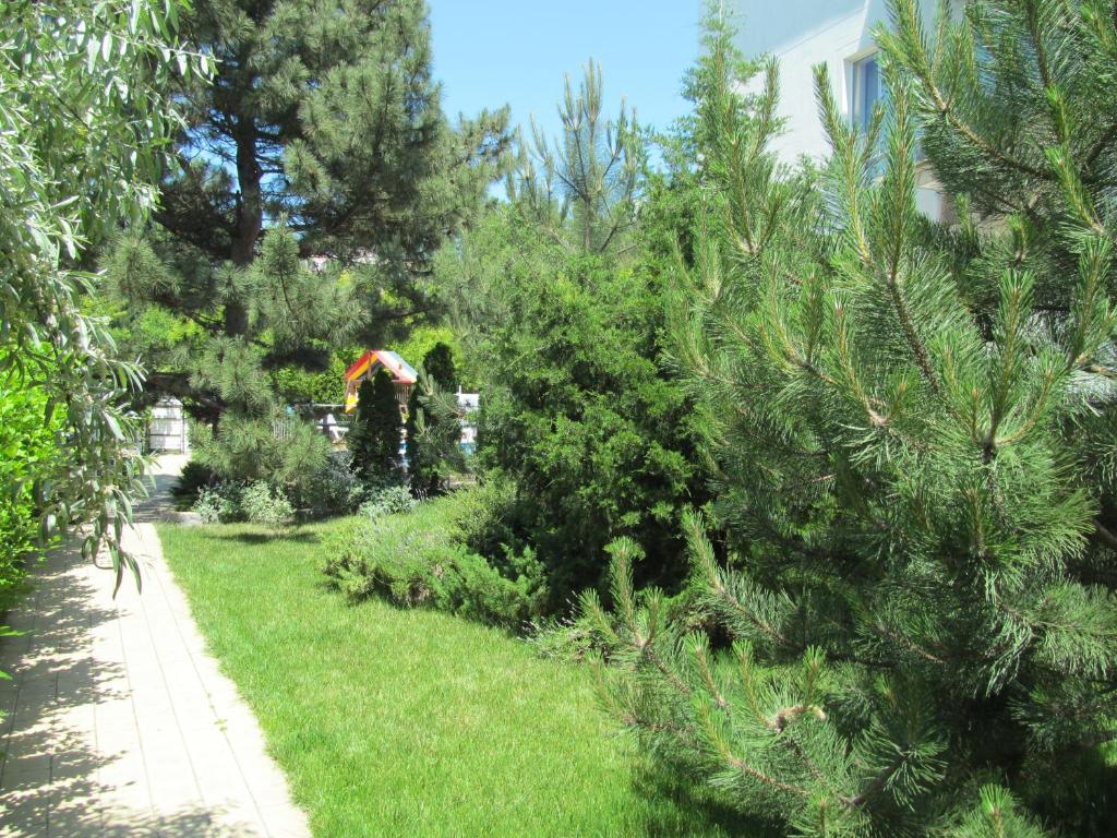 photo6