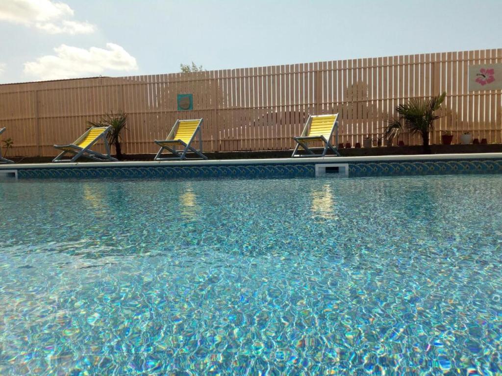 photo1