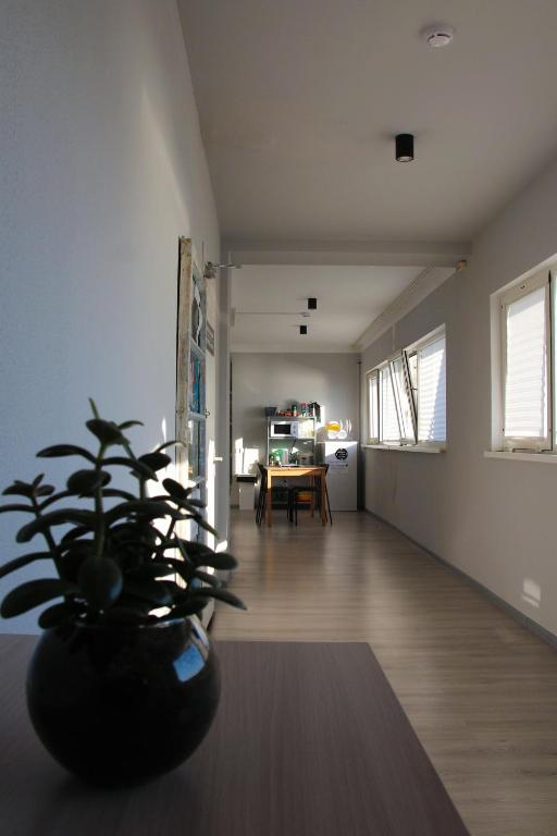 photo1