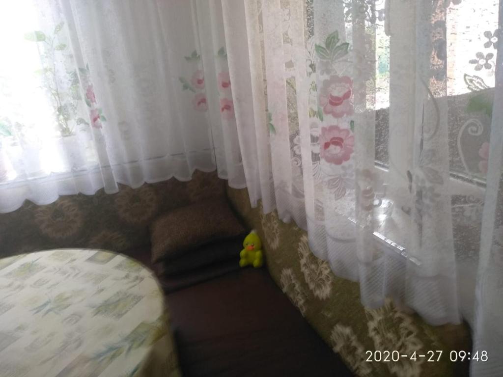 photo2