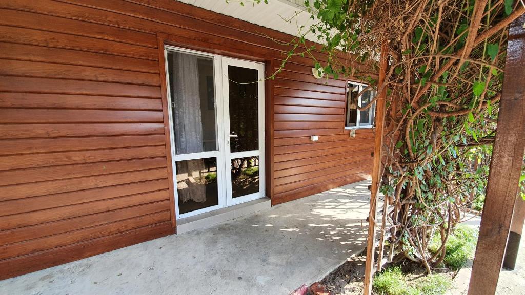 photo6