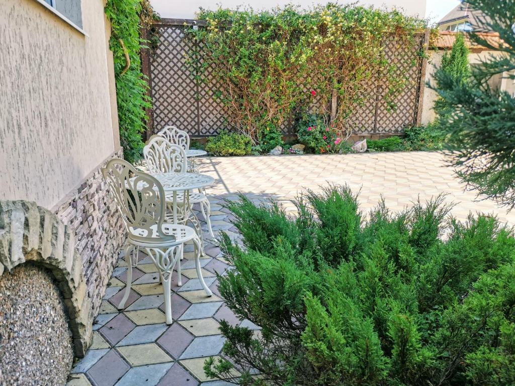 photo1