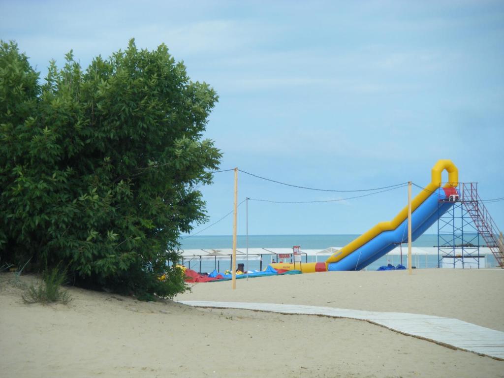 photo6
