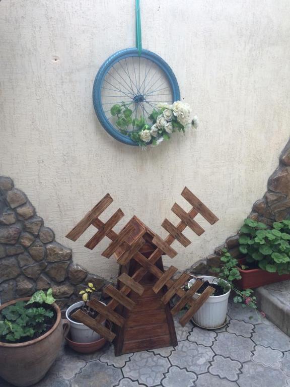 photo1