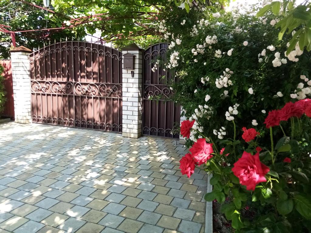 photo5