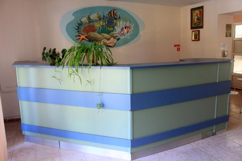 photo1