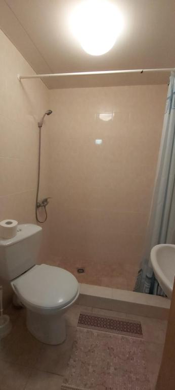 photo5