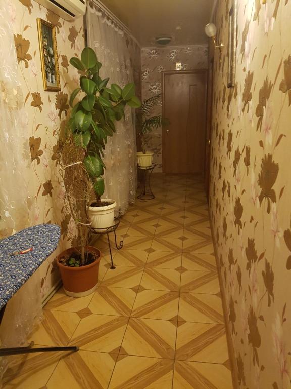 photo6