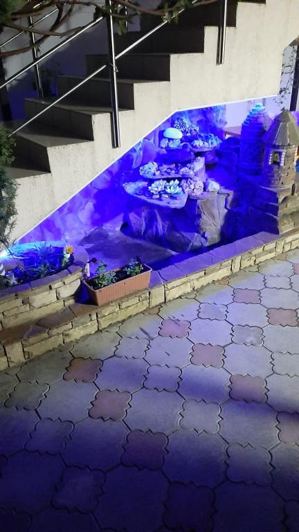photo2