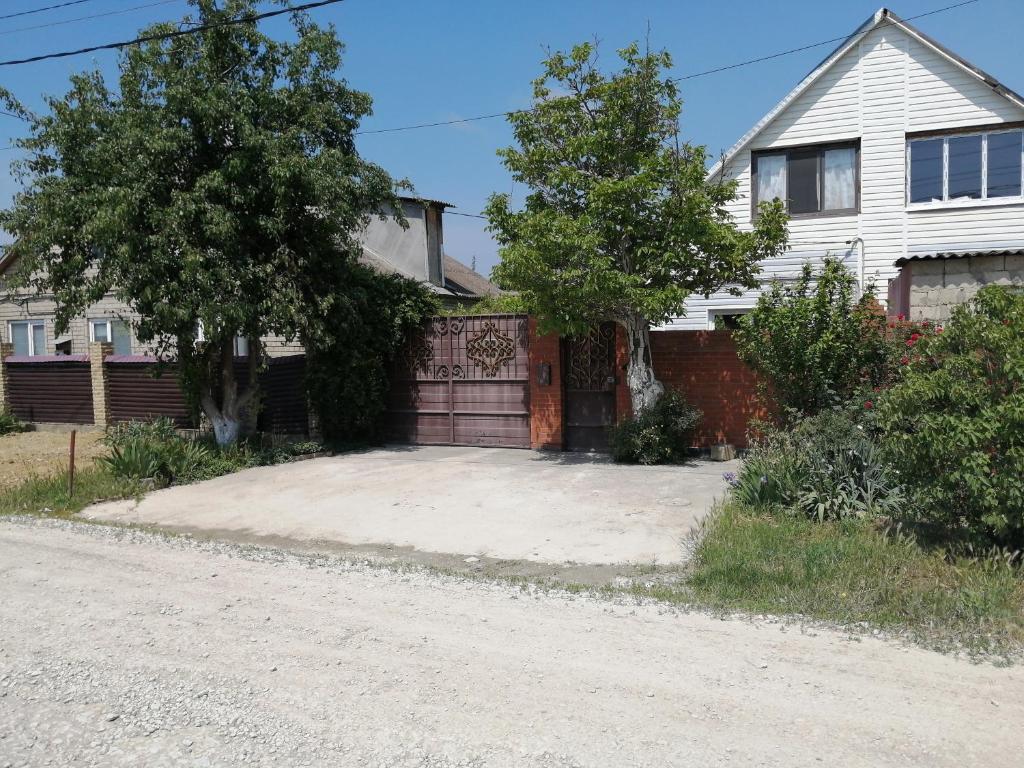 photo2