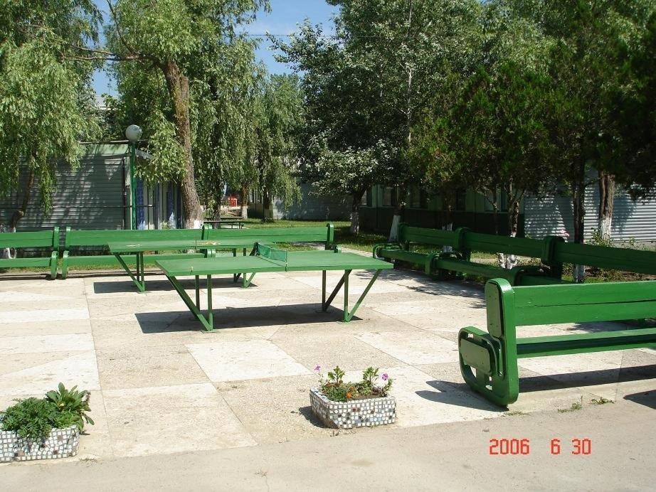 photo2