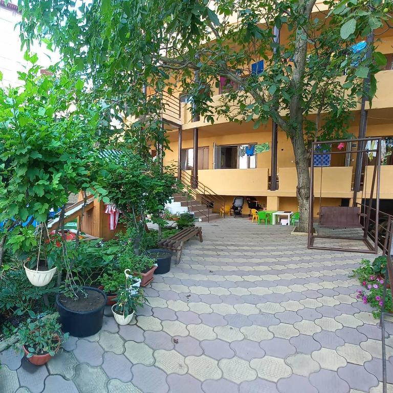 photo1