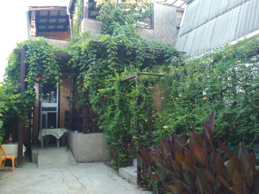 photo1