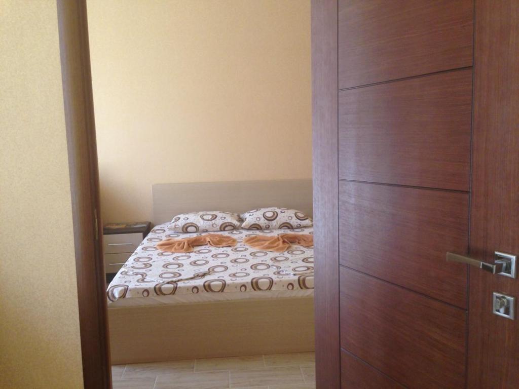 photo6