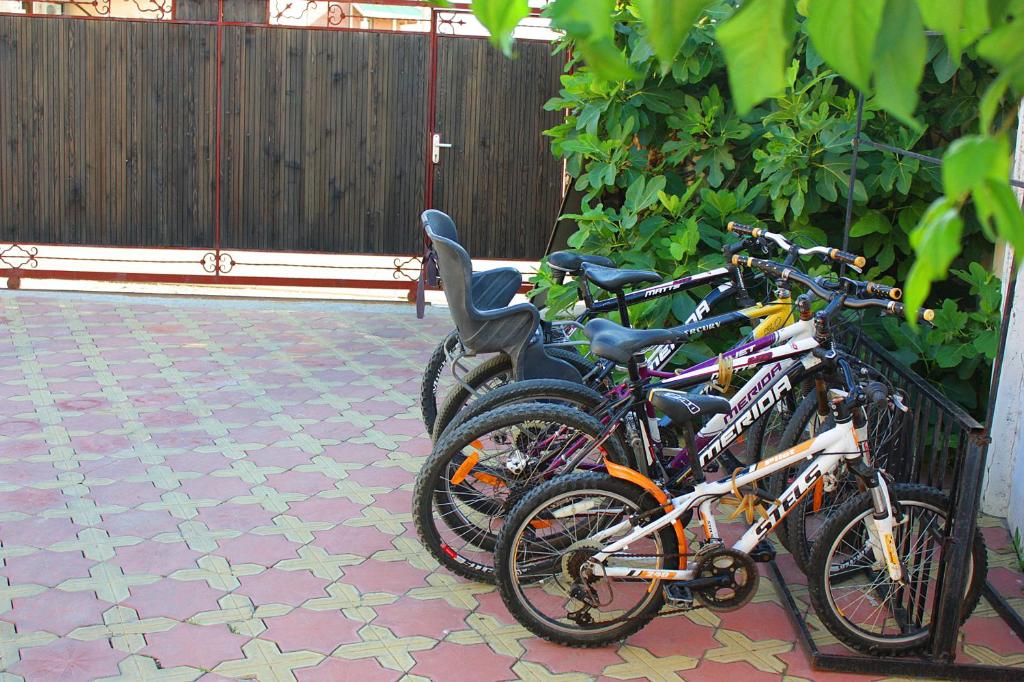 photo6