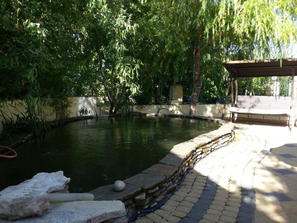 photo5